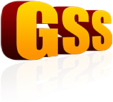GSS-3D-Logo