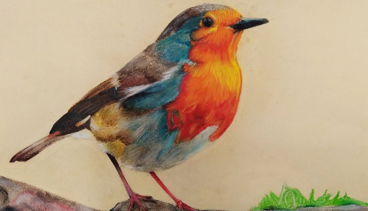 Vögel in Pastell