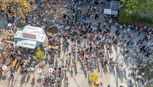 Sommerfest